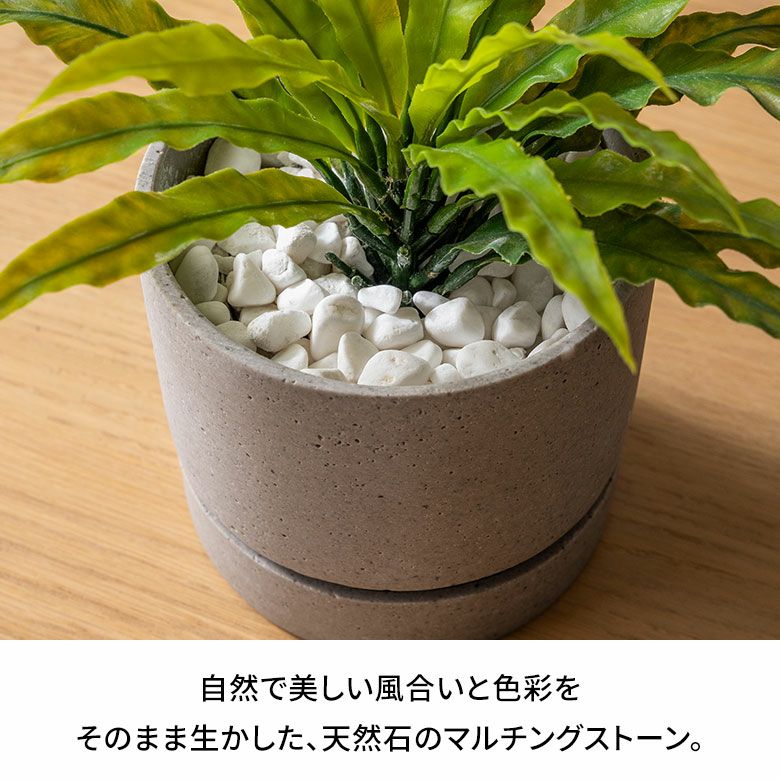 マルチングストーン 天然石 300g 化粧石 飾り石 ホワイト ブラック