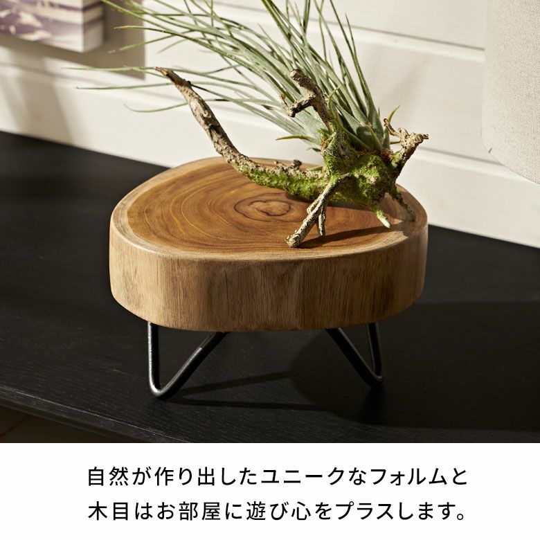 天然木の切り株・飾り台 Amazon.co.jp: 天然木の台座 ディスプレイスタンド スギの木 切り株 1