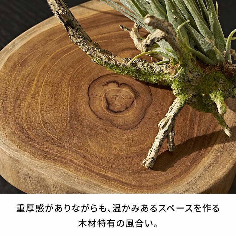 デコレーショントレイ 脚付き 木製 天然木 切り株 アイアン 約 W 20cm