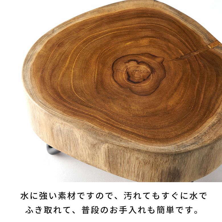 デコレーショントレイ 脚付き 木製 天然木 切り株 アイアン 約 W 20cm