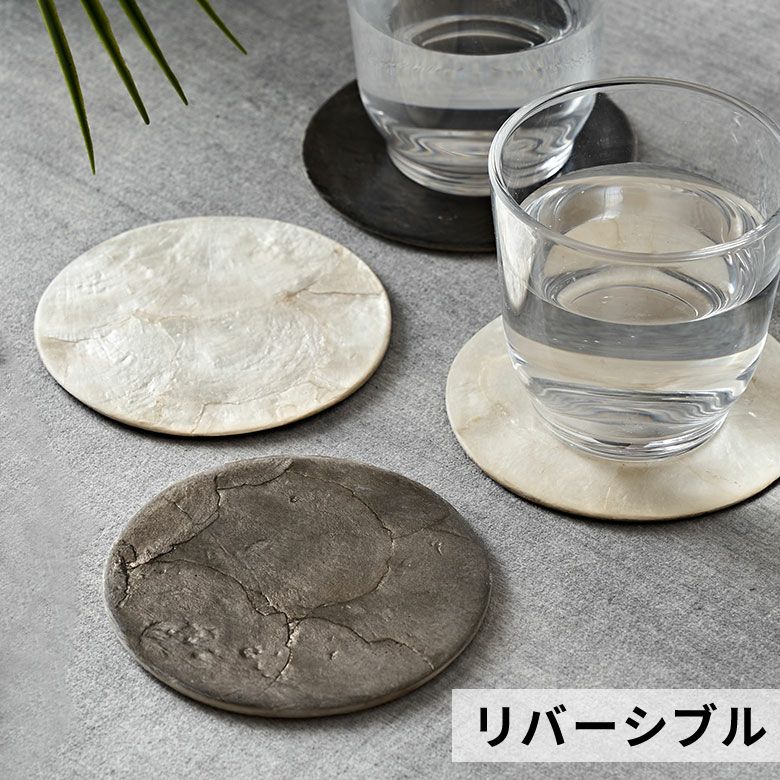 コースター カピスシェル シェル 貝 ラウンド 円型 1枚 リバーシブル