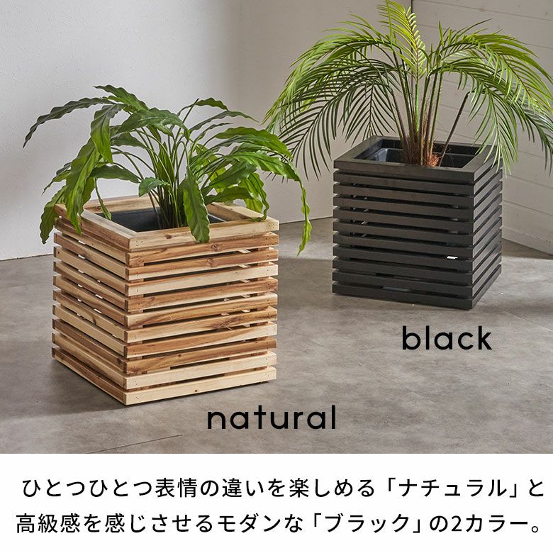 ボックスウッド 観葉植物 茶色鉢 【公式通販】