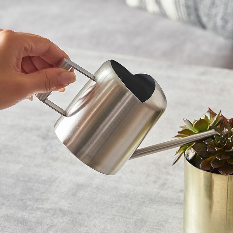 お部屋の観葉植物の水やりにちょうどいい、ステンレスでできたミニマル