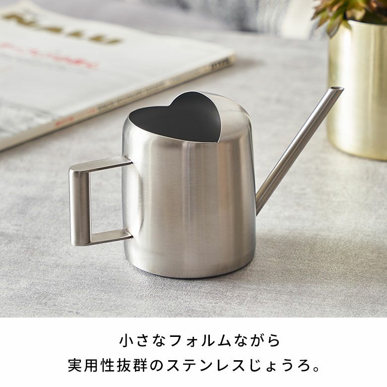 ✨ステンレス風呂桶✨畑の水やりに✨ お部屋の観葉植物の水やりにちょうどいい、ステンレスでできたミニマル
