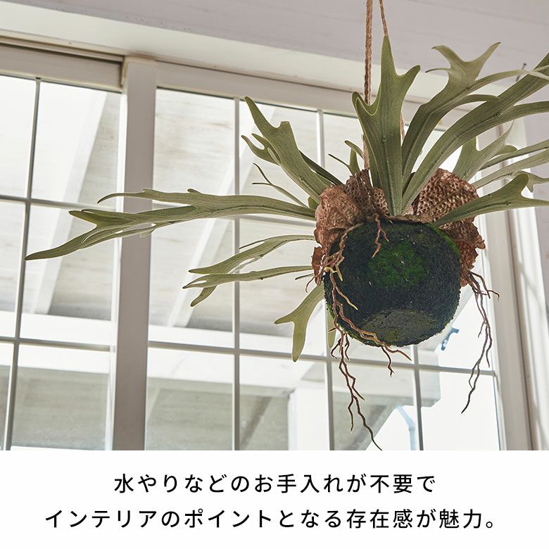 水やりの要らないリアルな造花 ビカクシダ（コウモリラン）のフェイク