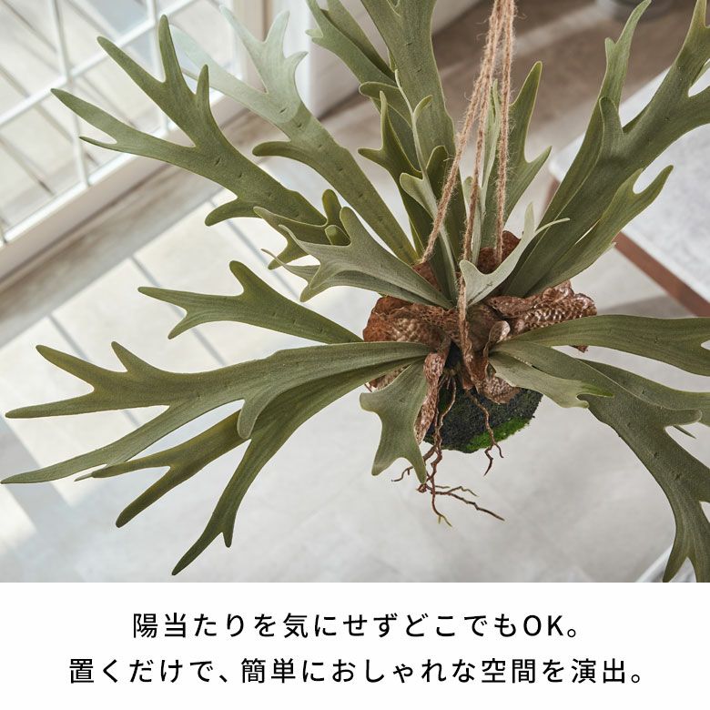 水やりの要らないリアルな造花 ビカクシダ（コウモリラン）のフェイク