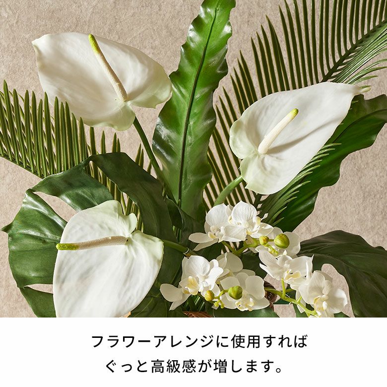 水やり不要のリアルな造花 ホワイトファレノプシスのアーティ