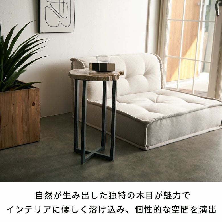 KAJA カジャ 木化石 サイドテーブル (H55) KAJA