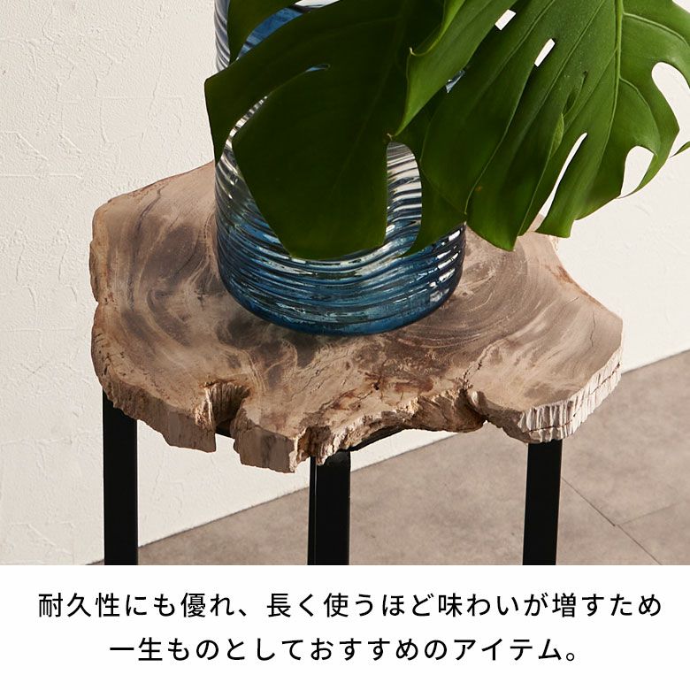 木の化石でできたフォッシルストーン製の天板にシンプルなアイアン製の