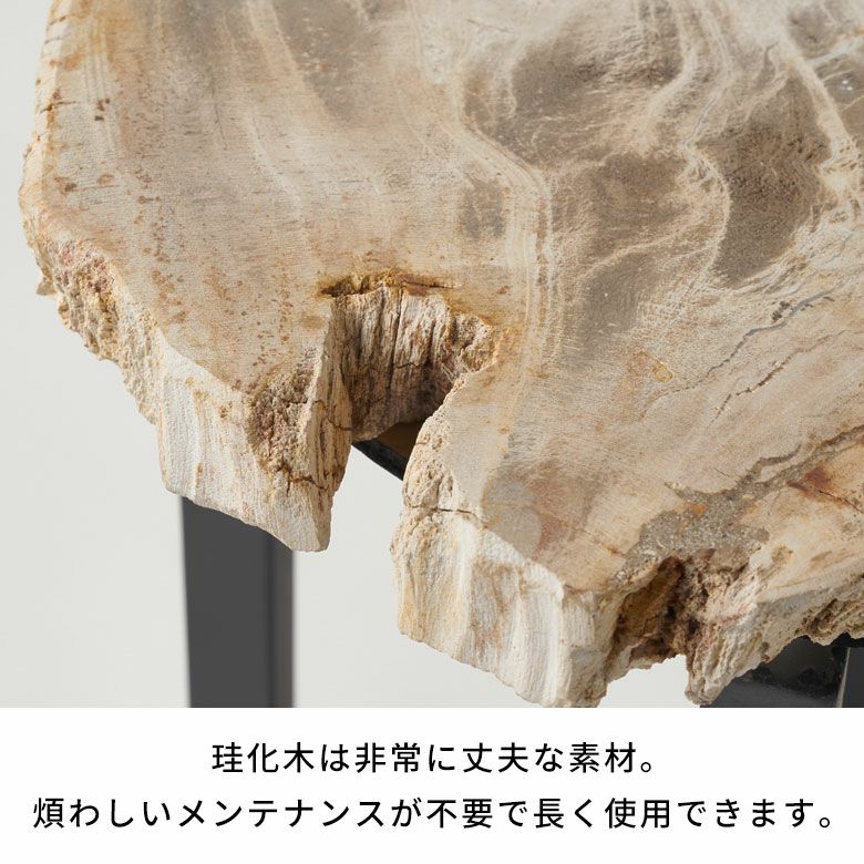 木の化石でできたフォッシルストーン製の天板にシンプルなアイアン製の