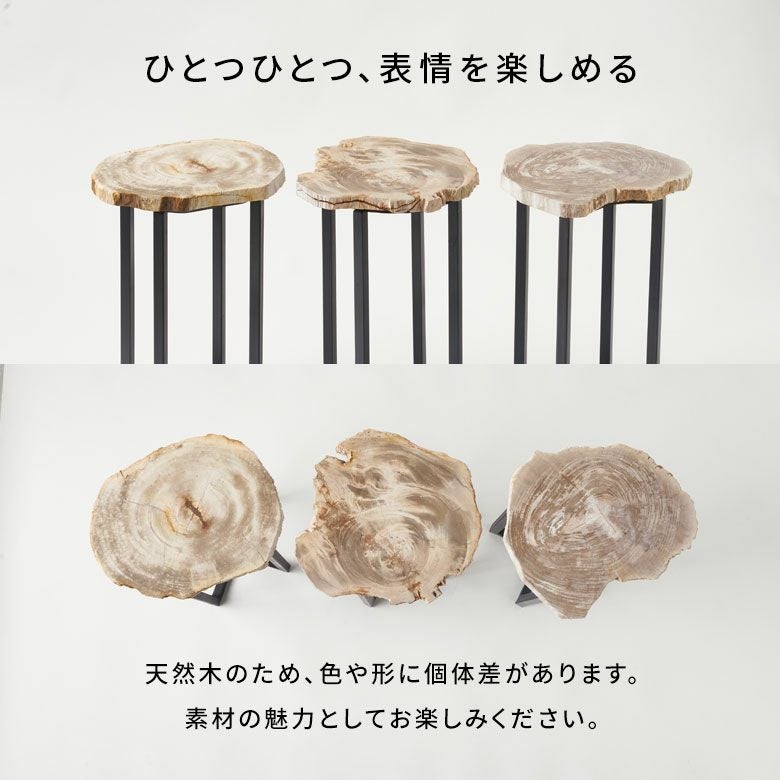 木の化石でできたフォッシルストーン製の天板にシンプルなアイアン製の 木の化石でできたフォッシルストーン製の天板にシンプルなアイアン製の