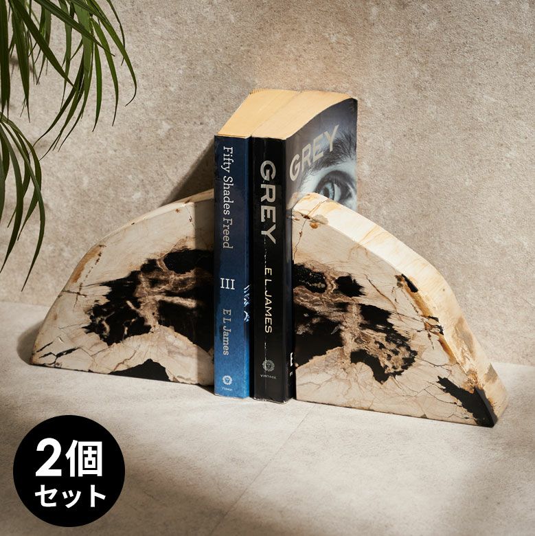 大自然の歴史を纏う木の化石フォッシルストーンで作られたブックエンド