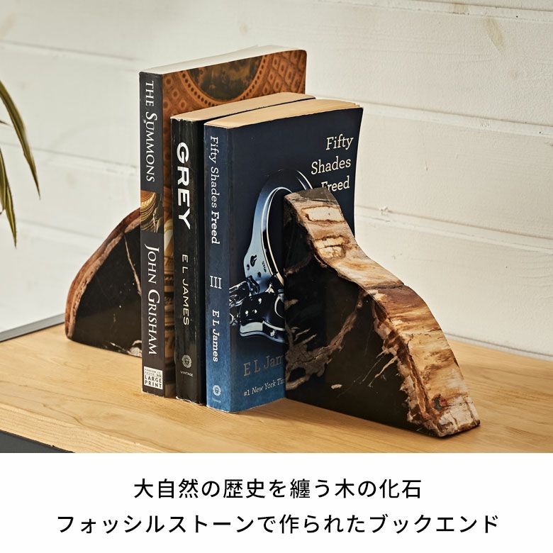 大自然の歴史を纏う木の化石フォッシルストーンで作られたブックエンド