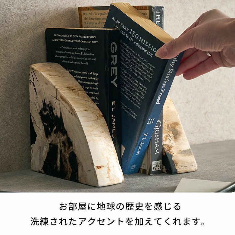大自然の歴史を纏う木の化石フォッシルストーンで作られたブックエンド
