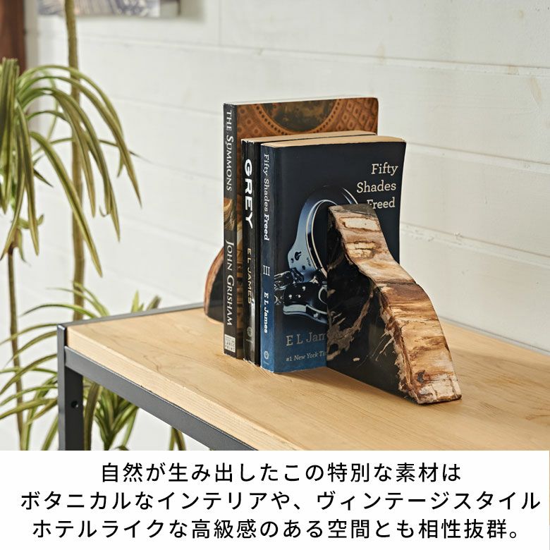 大自然の歴史を纏う木の化石フォッシルストーンで作られたブックエンド