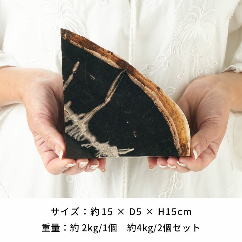 大自然の歴史を纏う木の化石フォッシルストーンで作られたブックエンド