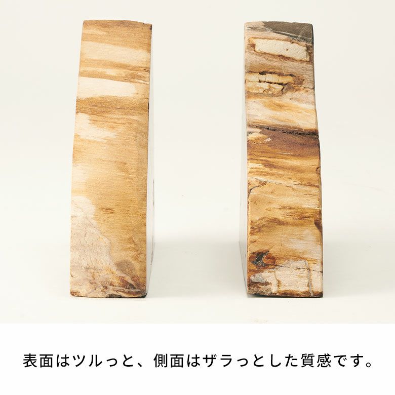 大自然の歴史を纏う木の化石フォッシルストーンで作られたブックエンド