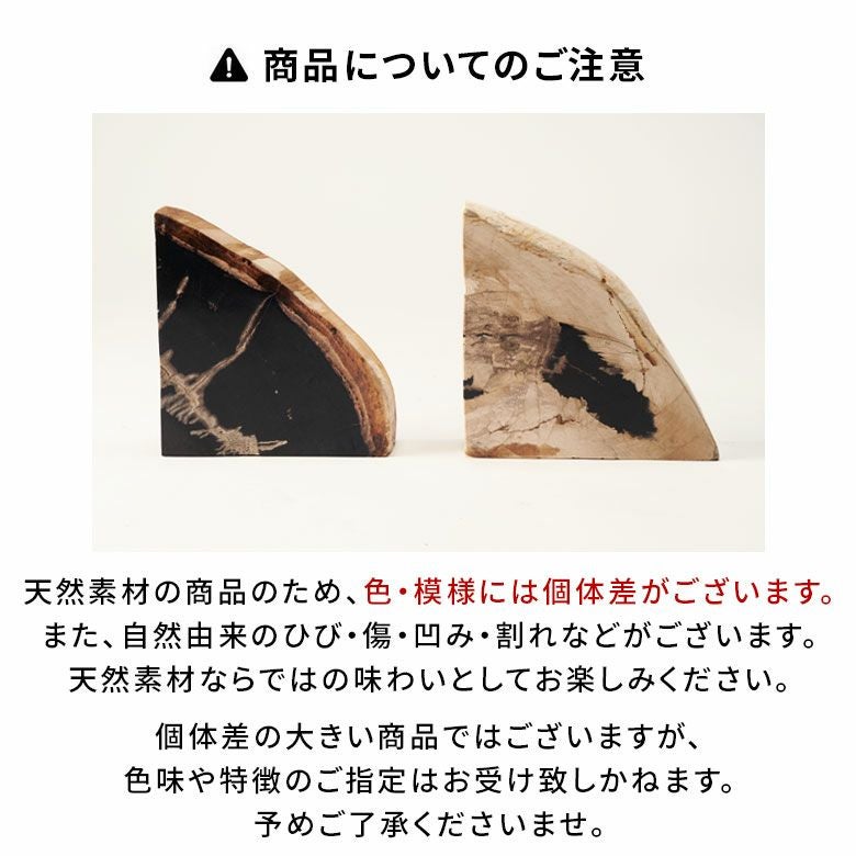 大自然の歴史を纏う木の化石フォッシルストーンで作られたブックエンド
