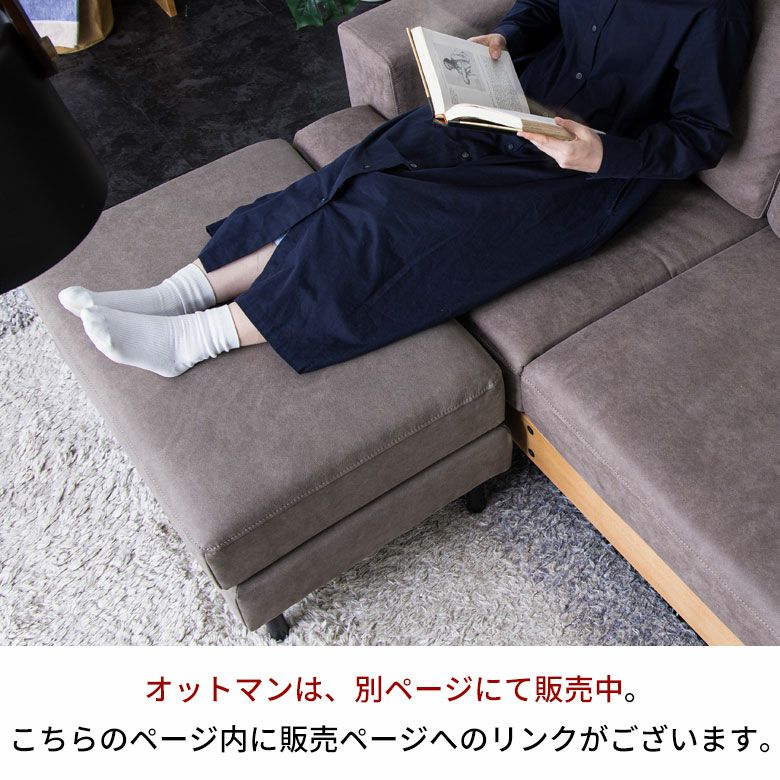 2.5人掛けソファヨーロピアングレー ソファ・ヘッドレストセット[stc