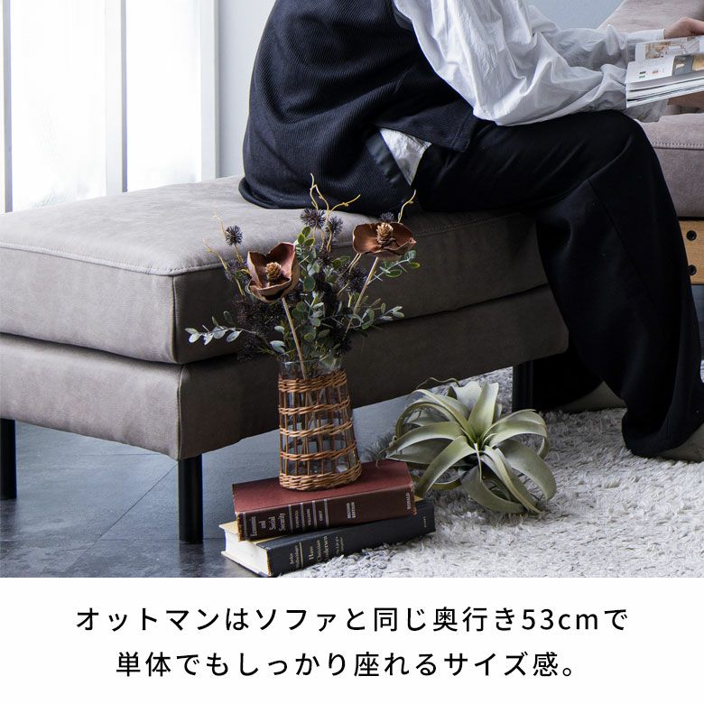 2.5人掛けソファバスクヨーロピアングレー専用オットマン [94870-o-gy