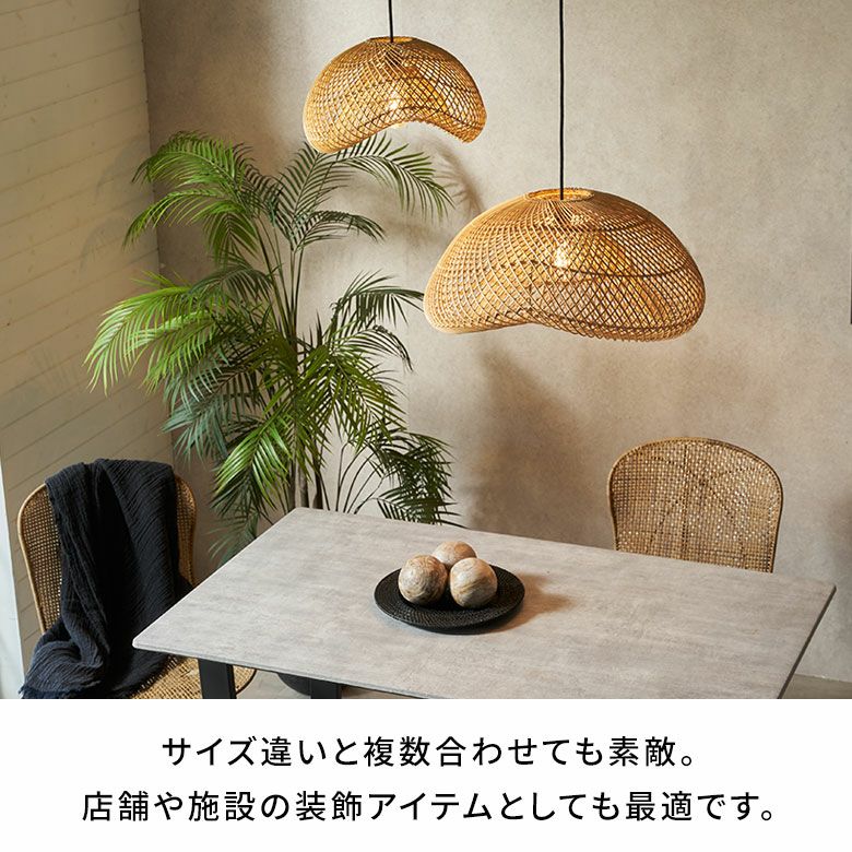 000000004875-11.jpg?size=l&w=