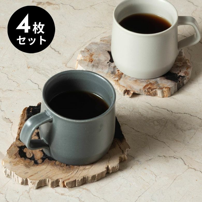 木の化石4点セット 数億年の時が刻んだ、大地の記憶。木の化石でできたコースター[4点