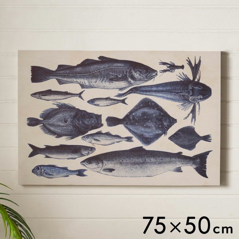 古い図鑑の気品をまとう“海の標本”クラシックアートパネル[Specimens