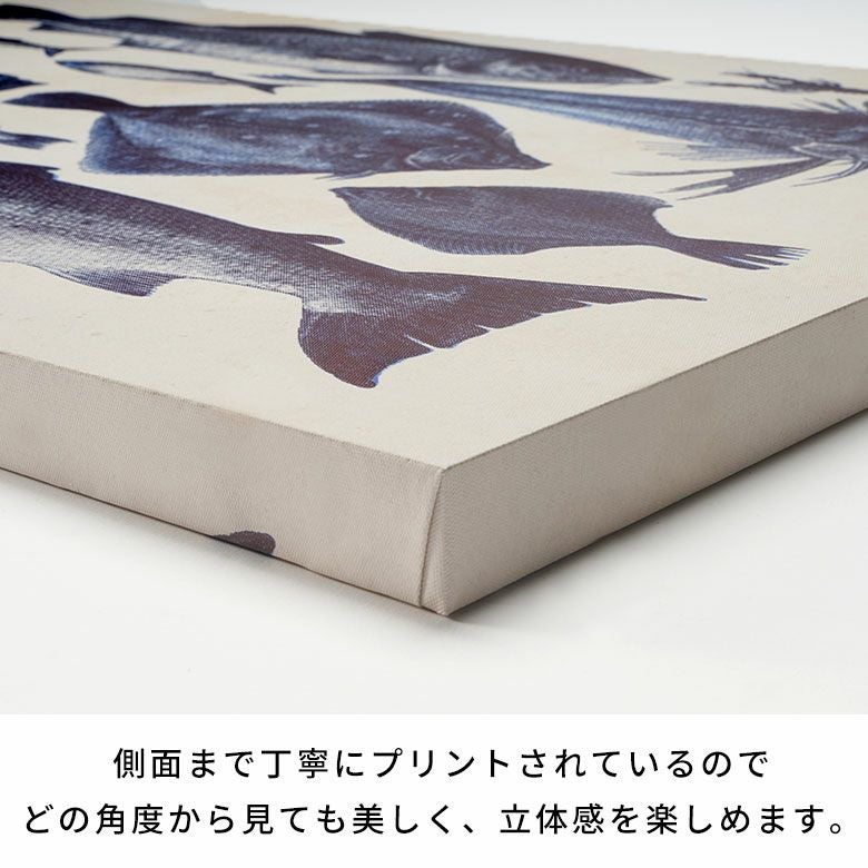 古い図鑑の気品をまとう“海の標本”クラシックアートパネル[Specimens