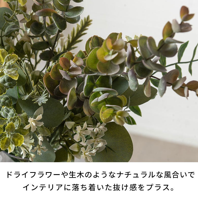 水やり不要で気軽に飾れるグレビレアアミックス バンドル[94911