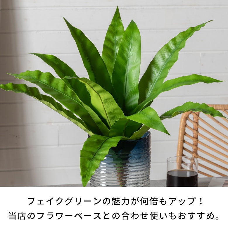 水やり不要のリアルなフェイクグリーン オオタニワタリブッシュ[94912