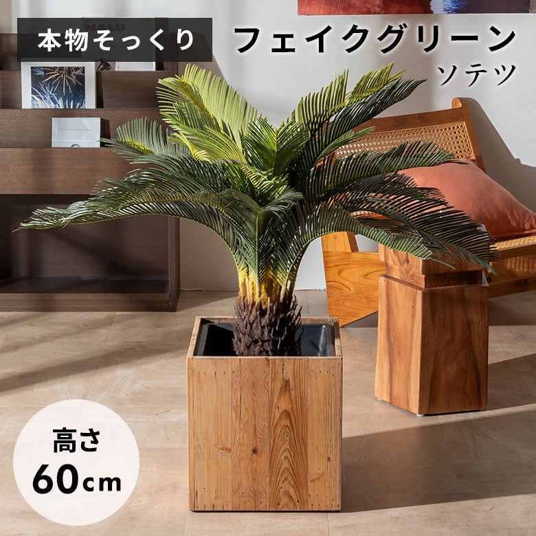 水やり不要 リアルを追求したインテリアグリーン ソテツ [67282