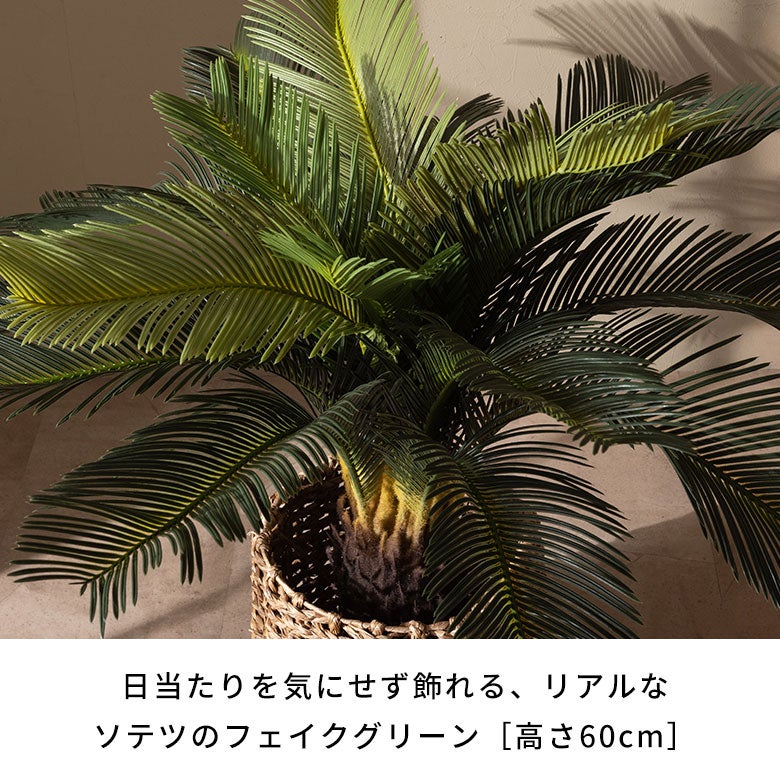 水やり不要 リアルを追求したインテリアグリーン ソテツ [67282