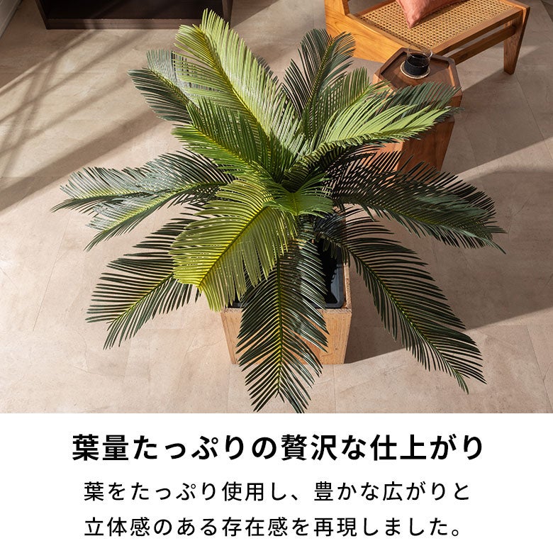 水やり不要 リアルを追求したインテリアグリーン ソテツ [67282
