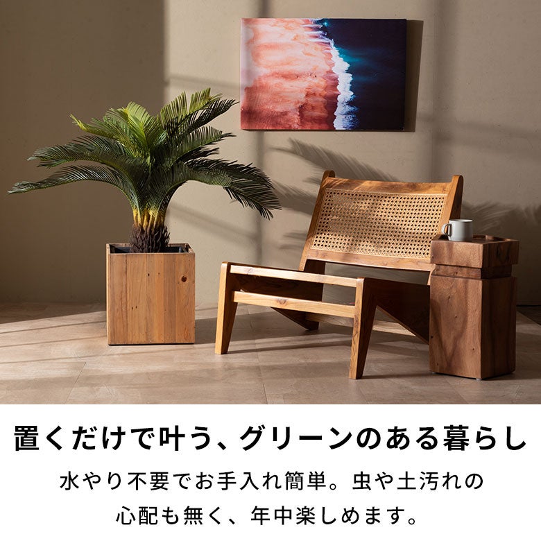 水やり不要 リアルを追求したインテリアグリーン ソテツ [67282