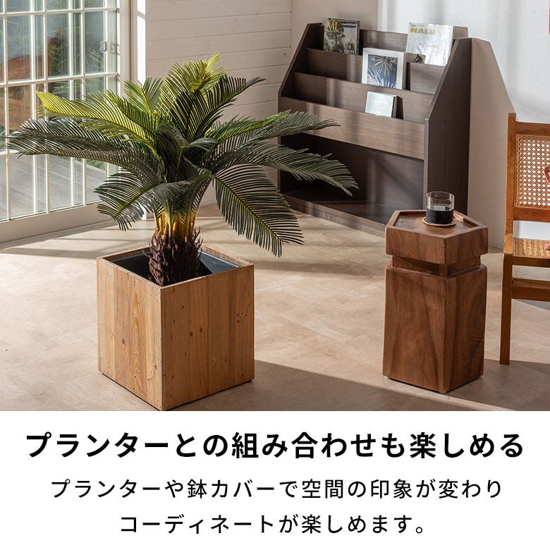 水やり不要 リアルを追求したインテリアグリーン ソテツ [67282