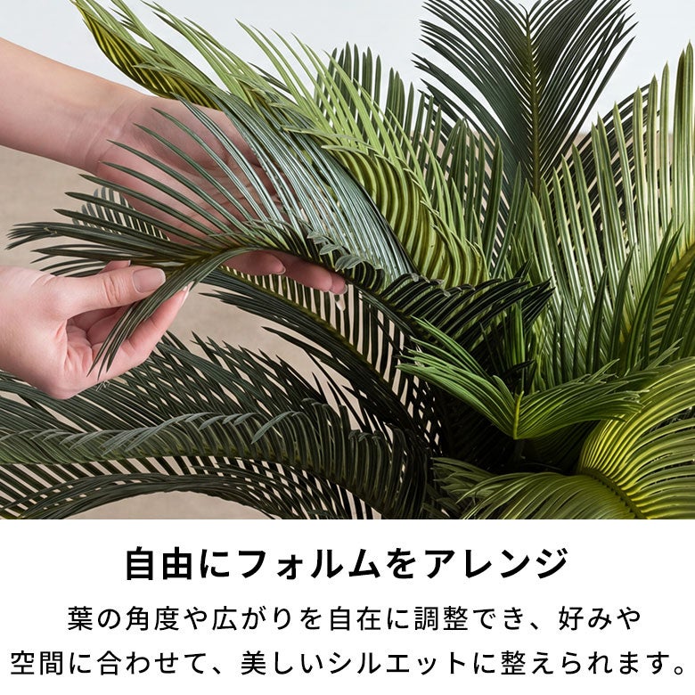 水やり不要 リアルを追求したインテリアグリーン ソテツ [67282