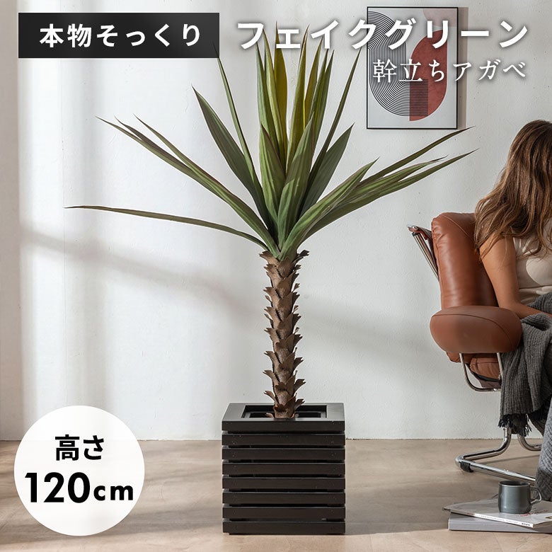 水やり不要 リアルを追求したインテリアグリーン アガベ ハイタイプ