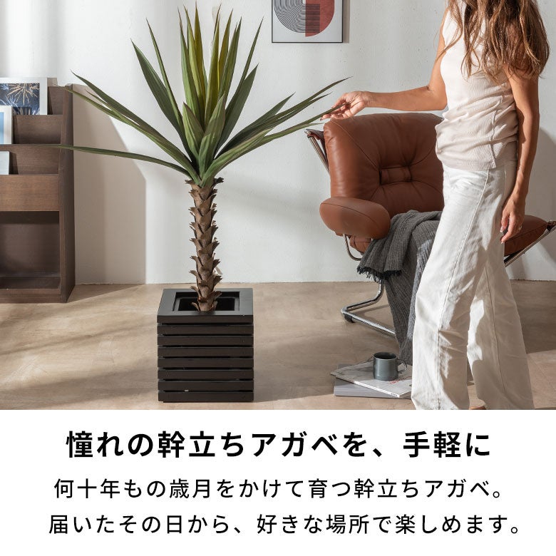 水やり不要 リアルを追求したインテリアグリーン アガベ ハイタイプ