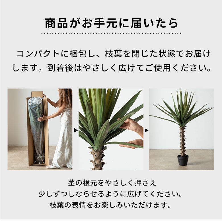 水やり不要 リアルを追求したインテリアグリーン アガベ ハイタイプ