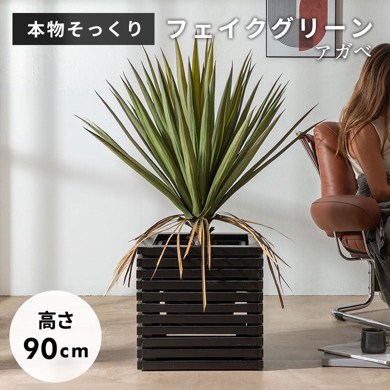 水やり不要 リアルを追求したインテリアグリーン アガベ ロータイプ
