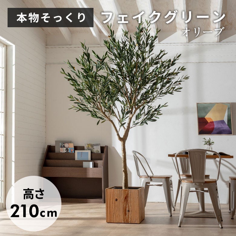 水やり不要 リアルを追求したオリーブのフェイクグリーン［高さ210cm