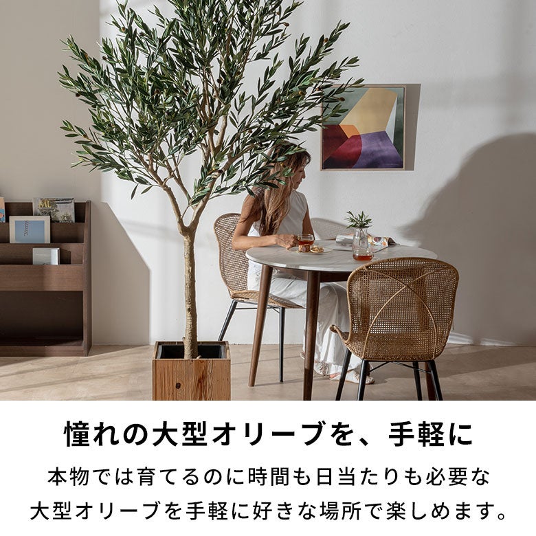 水やり不要 リアルを追求したオリーブのフェイクグリーン［高さ210cm