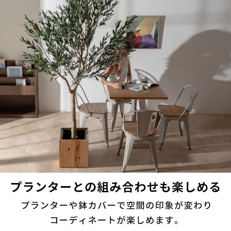 水やり不要 リアルを追求したオリーブのフェイクグリーン［高さ210cm