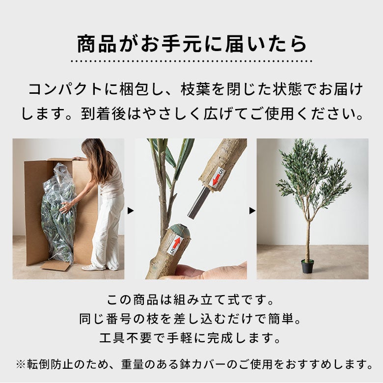 水やり不要 リアルを追求したオリーブのフェイクグリーン［高さ210cm